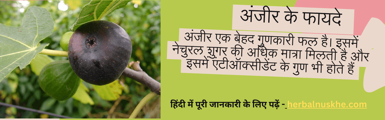Anjeer Benefits