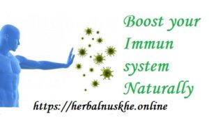 Herbs to Boost Immune System