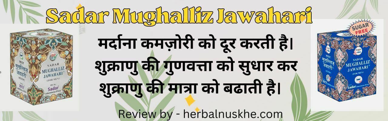 Sadar Mughalliz Jawahari