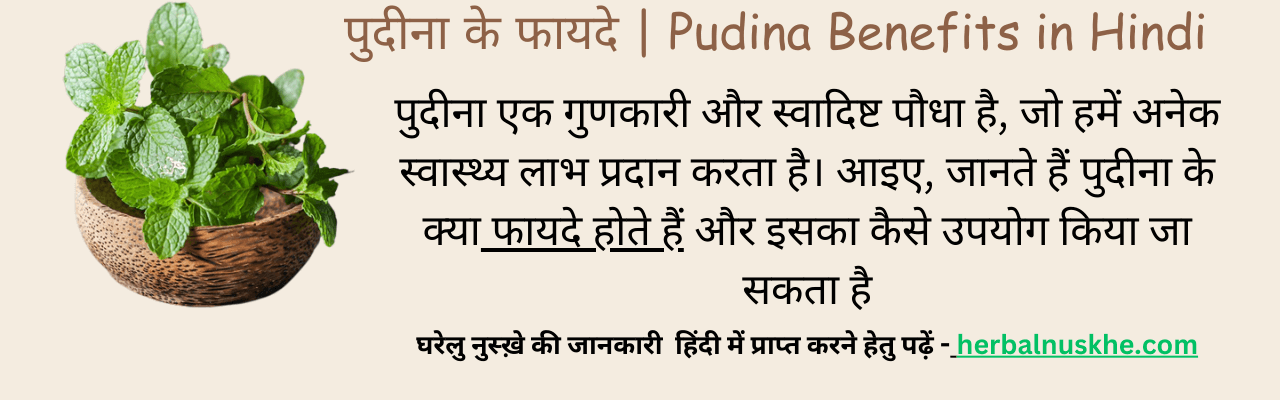 Pudina Benefits in Hindi