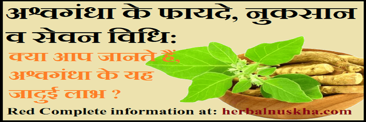 Ashwagandha Benefits