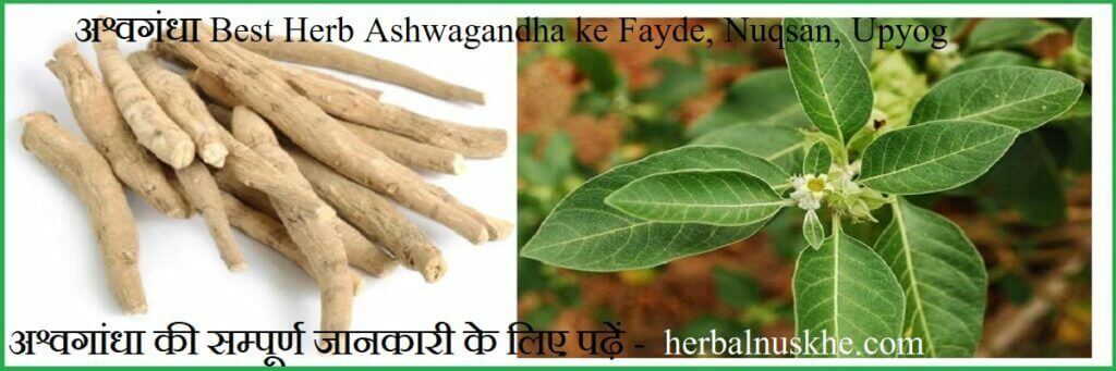 Ashwagandha Benefits 