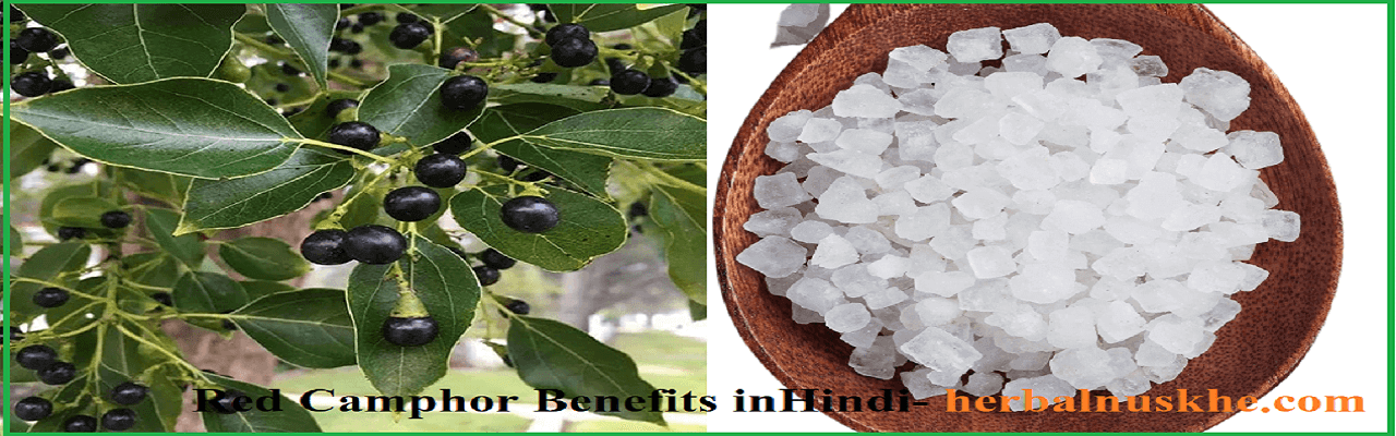 camphor benefits